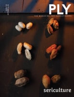 Ply Magazin Herbst 2026